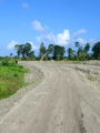 Bocas del Toro road.