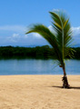Panama beach real estate, Bocas