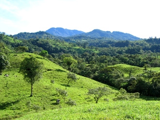 Volcan Pacifica, te cool highlands of Panama.